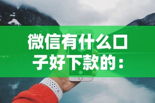 微信有什么口子好下款的：试试这5个17岁能贷款的平台