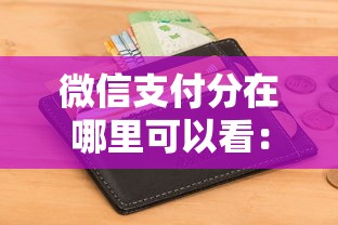 微信支付分在哪里可以看：整理五个小额平台借钱容易通过不看征信