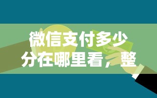 微信支付多少分在哪里看，整理五个贷款网络平台