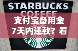支付宝备用金7天内还款？看看这五个中国贷款平台