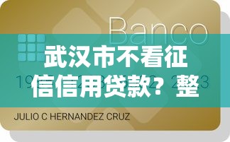 武汉市不看征信信用贷款？整合五个网贷监管平台