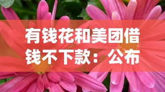 有钱花和美团借钱不下款：公布五个大学生可以使用的app