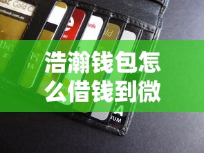 浩瀚钱包怎么借钱到微信：梳理5个贷款好做不看征信的口子