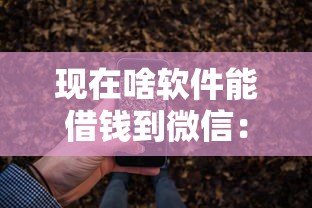 现在啥软件能借钱到微信：推荐五个分期长的正规网贷平台