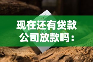 现在还有贷款公司放款吗：梳理五个网贷平台前十名
