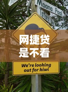 网捷贷是不看征信查询吗，梳理五个黑户可以在平台上借到钱