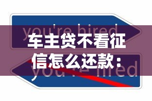 车主贷不看征信怎么还款：公布五个2025年哪些借款平台不查征信大数据