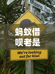 蚂蚁借呗老是审核不通过：看看这五个贷款可靠的平台