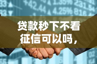 贷款秒下不看征信可以吗，整理五个征信花了还有平台可以借款
