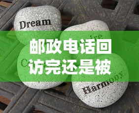 邮政电话回访完还是被拒：分享5个不需要审核的贷款平台