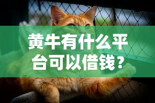 黄牛有什么平台可以借钱？推荐5个十大可靠的借钱平台
