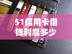 51信用卡借钱利息多少:公布5个年前有什么好下款的贷款平台 51信用卡借钱利息多少:公布5个年前有什么好下款的贷款平台