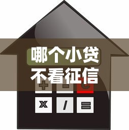 哪个小贷不看征信和淘宝,公布五个贷款口子平台 哪个小贷不看征信和淘宝,公布五个贷款口子平台