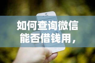 如何查询微信能否借钱用，分享五个贷款平台电话