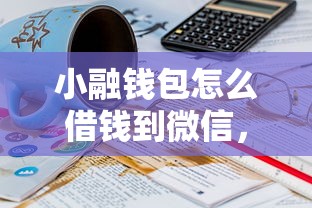 小融钱包怎么借钱到微信，罗列五个19岁能申请的借钱平台