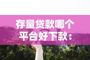 存量贷款哪个平台好下款：整合5个无征信贷款平台
