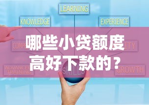 哪些小贷额度高好下款的？罗列五个黑贷款平台