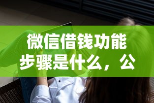 微信借钱功能步骤是什么，公布五个不看负债和征信的软件