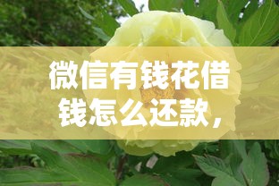 微信有钱花借钱怎么还款,分享5个无视双黑能下款的口子 微信有钱花借钱怎么还款,分享5个无视双黑能下款的口子