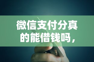 微信支付分真的能借钱吗，整合五个16周岁贷款平台
