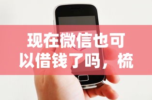 现在微信也可以借钱了吗，梳理5个网贷比较好的平台