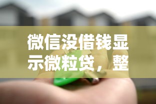 哪些平台借钱要上征信？试试这5个支付宝花呗逾期万元快速贷款口子
