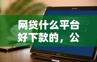 办信用卡征信几次被拒，整合五个小额贷平台最容易下款