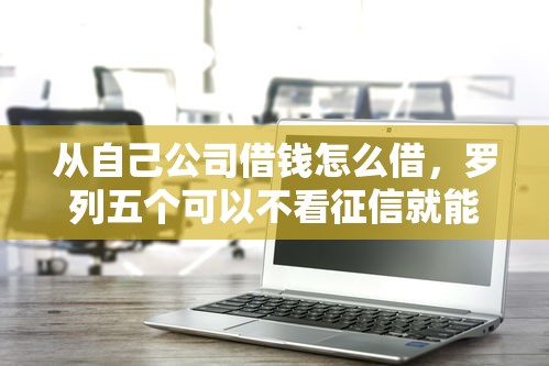 从自己公司借钱怎么借，罗列五个可以不看征信就能下款的软件