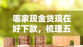 哪家现金贷现在好下款，梳理五个小贷款平台