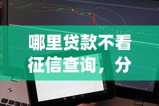 哪里贷款不看征信查询，分享5个征信花居然都下款的app