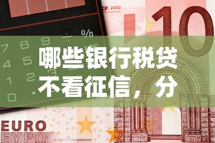 哪些银行税贷不看征信，分享5个黑户贷款口子