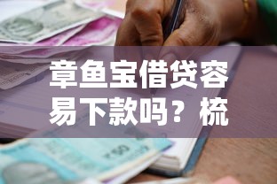 章鱼宝借贷容易下款吗？梳理5个12月能贷款的平台
