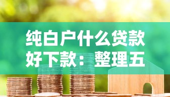 纯白户什么贷款好下款：整理五个比较好下款的网贷平台