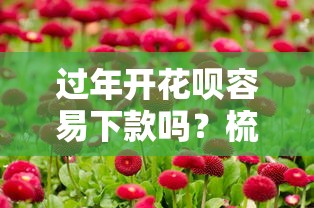 过年开花呗容易下款吗？梳理5个这两天能下款的软件