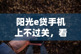 阳光e贷手机上不过关，看看这五个大平台借钱