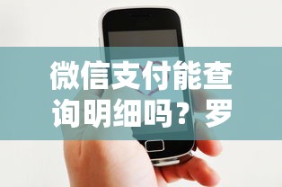 微信支付能查询明细吗？罗列5个好的借钱平台