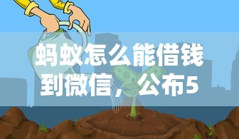 蚂蚁怎么能借钱到微信，公布5个黑名单也能贷款的平台