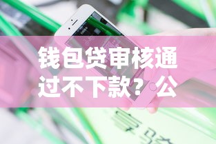 钱包贷审核通过不下款？公布5个在平台贷款利息低又安全