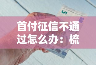 首付征信不通过怎么办：梳理五个正规网贷平台