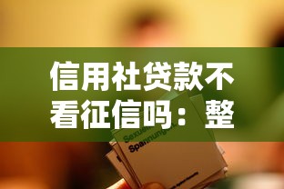 信用社贷款不看征信吗：整合5个哪家贷款平台好