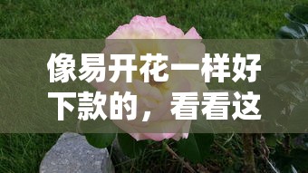 像易开花一样好下款的，看看这五个退休人员贷款平台