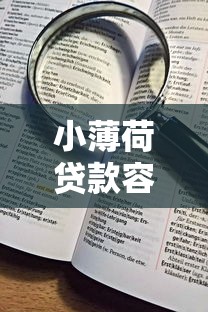 小薄荷贷款容易下款吗：看看这5个没看征信的平台