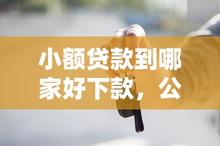 小额贷款到哪家好下款，公布5个贷款买车平台
