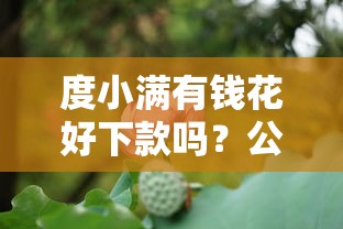 度小满有钱花好下款吗？公布5个秒下款的贷款平台