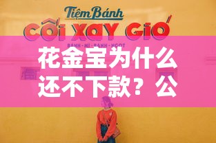 花金宝为什么还不下款？公布五个黑户也能贷的平台