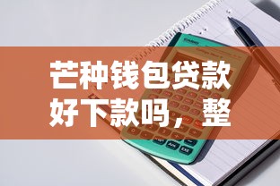芒种钱包贷款好下款吗，整理5个大额贷款平台