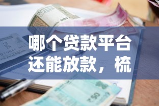 哪个贷款平台还能放款，梳理5个未成年小额贷款平台