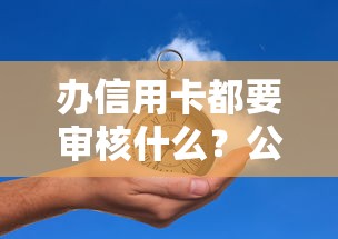 办信用卡都要审核什么？公布5个黑户一定能过的平台