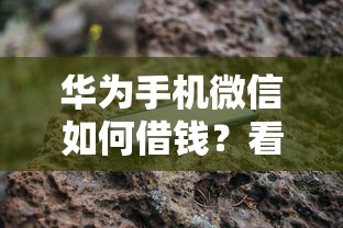 华为手机微信如何借钱？看看这5个高炮能下款的软件