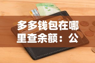 多多钱包在哪里查余额：公布五个无视征信黑户必下的贷款口子